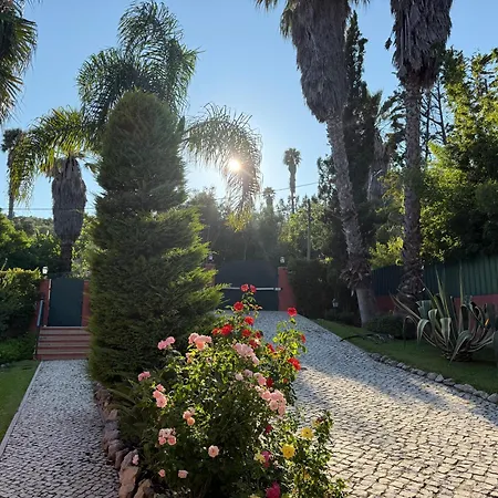 Luxury Bf Pool Tennis Maid Villa Sesimbra